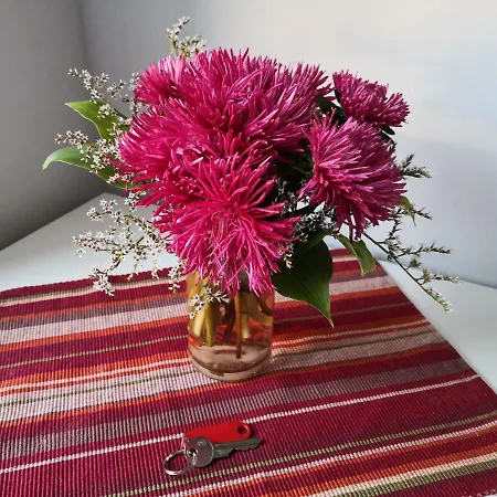 Artilerija's * ريغا
